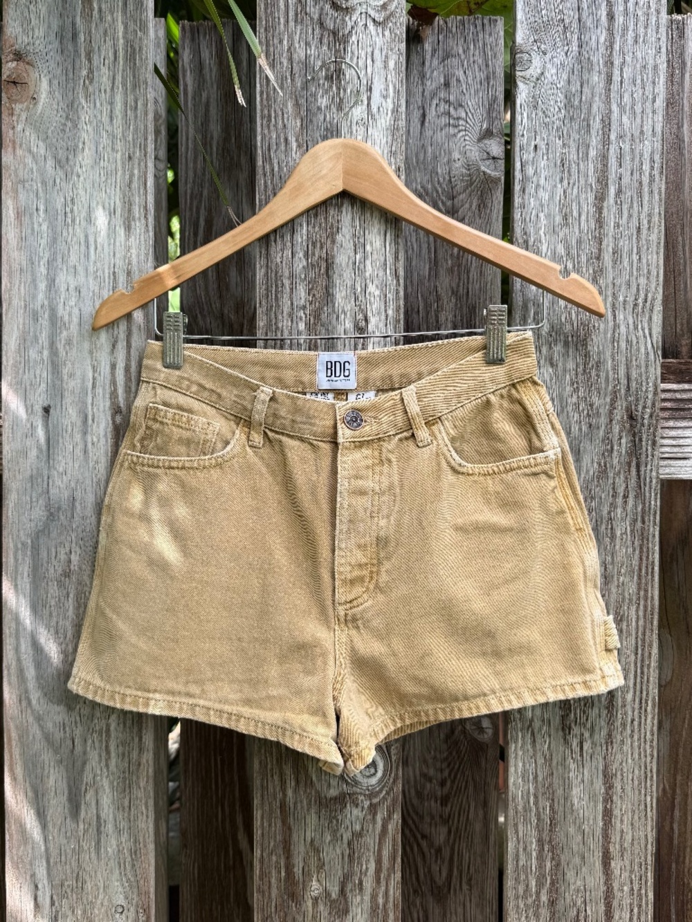 BDG Carpenter Shorts